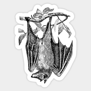 Upside Down Bat Sticker